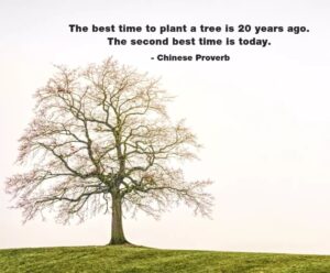 best time to plant
